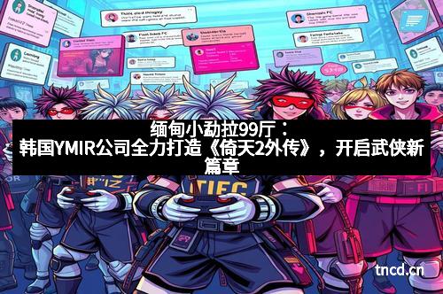 缅甸小勐拉99厅：韩国YMIR公司全力打造《倚天2外传》，开启武侠新篇章